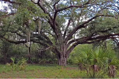 2415 Live Oak Trail, Lake Wales, FL 33898 - Photo 16