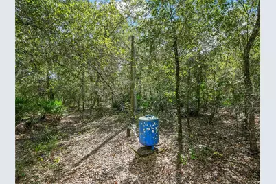 2415 Live Oak Trail, Lake Wales, FL 33898 - Photo 10