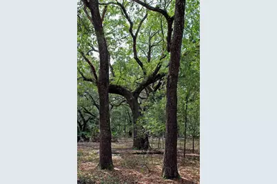 2415 Live Oak Trail, Lake Wales, FL 33898 - Photo 22