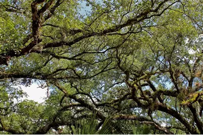 2415 Live Oak Trail, Lake Wales, FL 33898 - Photo 18