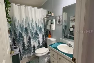 6239 Knotty Pine Dr S E, Winter Haven, FL 33884 - Photo 20