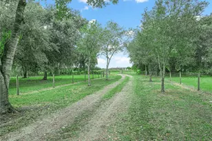 3963 Mammoth Grove Rd, Lake Wales, FL 33898 - Photo 2
