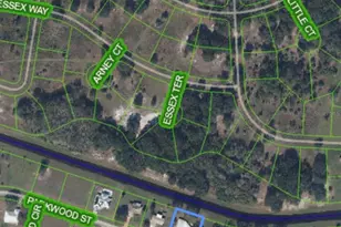 1009 Arney Ct, Sebring, FL 33876 - Photo 4