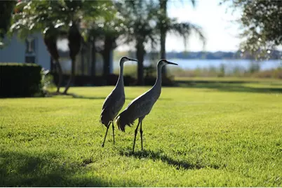 714 Magnolia Place #714, Winter Haven, FL 33884 - Photo 20