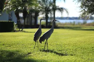 714 Magnolia Pl, Winter Haven, FL 33884 - Photo 20