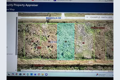 303 Magnolia Drive, Lake Wales, FL 33855 - Photo 1