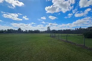 11650 Old Grade Rd, Polk City, FL 33868 - Photo 36