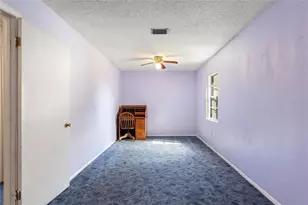 221 Dorothy St, Auburndale, FL 33823 - Photo 18