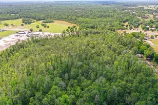 17822 Commonwealth Ave N, Polk City, FL 33868 - Photo 10