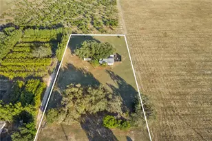 1114 H L Smith Rd, Haines City, FL 33844 - Photo 12