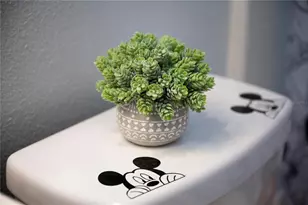 2960 Kokomo Loop, Haines City, FL 33844 - Photo 28