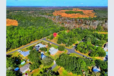 0 Intercession City, Intercession City, FL 33848 - Photo 12