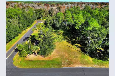 0 Intercession City, Intercession City, FL 33848 - Photo 2