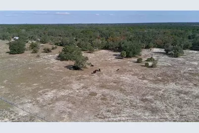 4547 Glenn Saint Mary Road, Lake Wales, FL 33898 - Photo 36