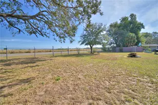 1813 Pauline Dr, Lake Alfred, FL 33850 - Photo 46