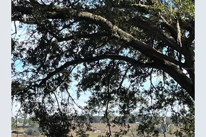 0 Central Avenue, Bartow, FL 33830 - Photo 8