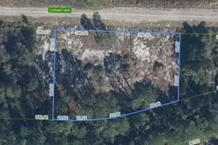 3348 Dorado Ave, Lake Placid, FL 33852 - Photo 1