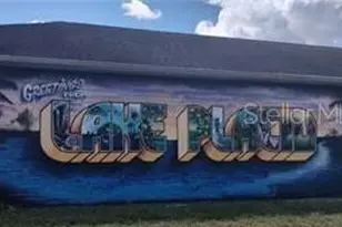 3348 Dorado Ave, Lake Placid, FL 33852 - Photo 4