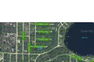 3348 Dorado Ave, Lake Placid, FL 33852 - Photo 6