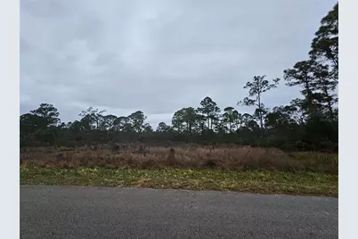 3129 Locust Avenue, Lake Placid, FL 33852 - Photo 4