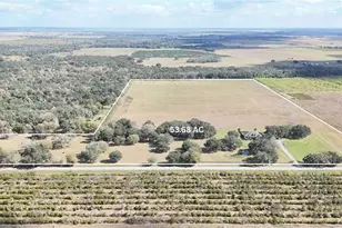 7053 George Marsh Rd, Zolfo Springs, FL 33890 - Photo 52