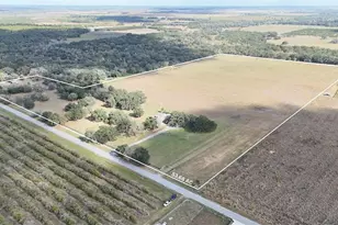 7053 George Marsh Rd, Zolfo Springs, FL 33890 - Photo 54