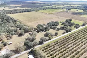 7053 George Marsh Rd, Zolfo Springs, FL 33890 - Photo 56