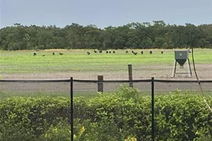 7053 George Marsh Rd, Zolfo Springs, FL 33890 - Photo 80