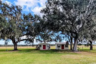 7053 George Marsh Rd, Zolfo Springs, FL 33890 - Photo 8