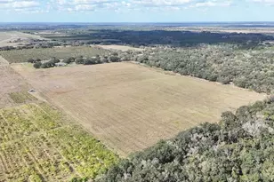 7053 George Marsh Rd, Zolfo Springs, FL 33890 - Photo 58