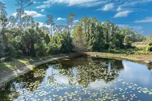 7970 Bannon Fish Camp Rd, Haines City, FL 33844 - Photo 56