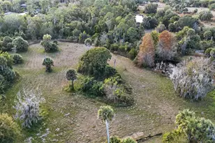 7970 Bannon Fish Camp Rd, Haines City, FL 33844 - Photo 20