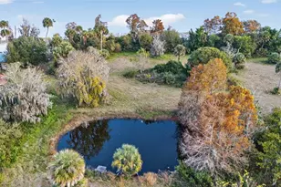 7970 Bannon Fish Camp Rd, Haines City, FL 33844 - Photo 50