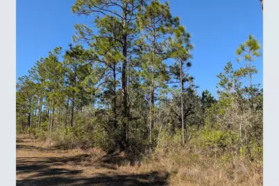 206 Ixora Drive, Indian Lake Estates, FL 33855 - Photo 6