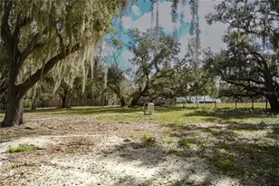 6905 Alturas Babson Park Cutoff, Bartow, FL 33830 - Photo 14