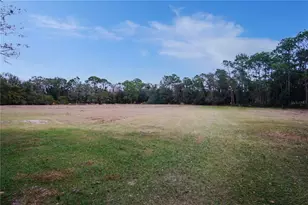 6140 Skokie Rd, Lake Wales, FL 33898 - Photo 38