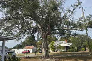 7 Elder St, Avon Park, FL 33825 - Photo 28