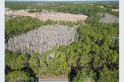 Green Pond Road, Polk City, FL 33868 - Photo 6
