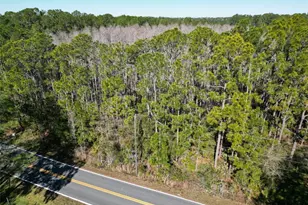 Green Pond Rd, Polk City, FL 33868 - Photo 1