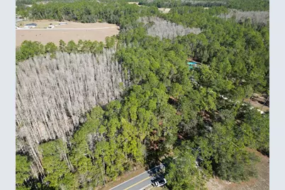 Green Pond Road, Polk City, FL 33868 - Photo 4