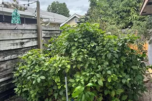 14539 Wood Pine Dr, Delray Beach, FL 33445 - Photo 30