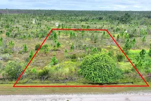 Althea Dr, Indian Lake Estates, FL 33855 - Photo 1