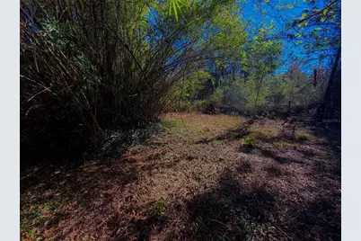 7260 Woodstock Street, Keystone Heights, FL 32656 - Photo 10