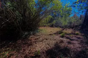 7260 Woodstock St, Keystone Heights, FL 32656 - Photo 10