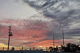 168 Argyle Gate Loop Rd, Dundee, FL 33838 - Photo 22