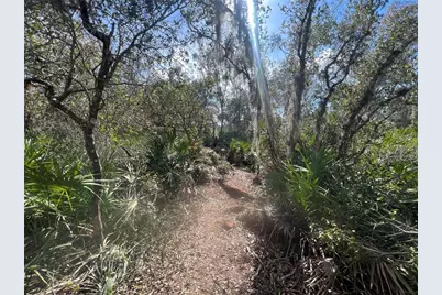 Silver Palm Drive, Indian Lake Estates, FL 33855 - Photo 6