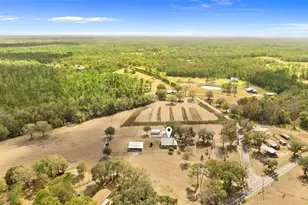 17620 Poyner Road N, Polk City, FL 33868 - Photo 38