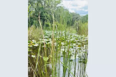 Deer Road, Frostproof, FL 33843 - Photo 4