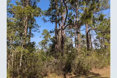 220 Pandora Drive, Indian Lake Estates, FL 33855 - Photo 2