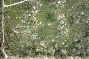 701 Jolly Ln, Lorida, FL 33857 - Photo 10